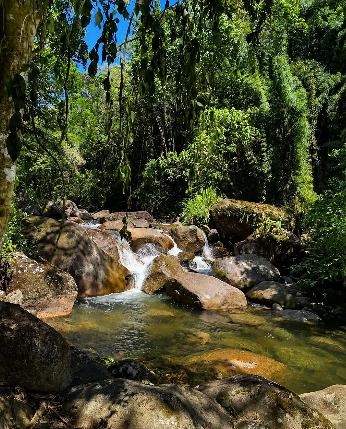 Cachoeira privativa dentro da propriedade ALPEN